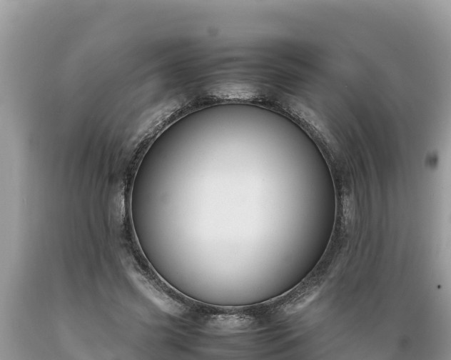 X0000089350541200706221140