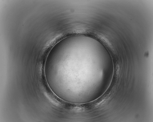 X0000089350542200706221140