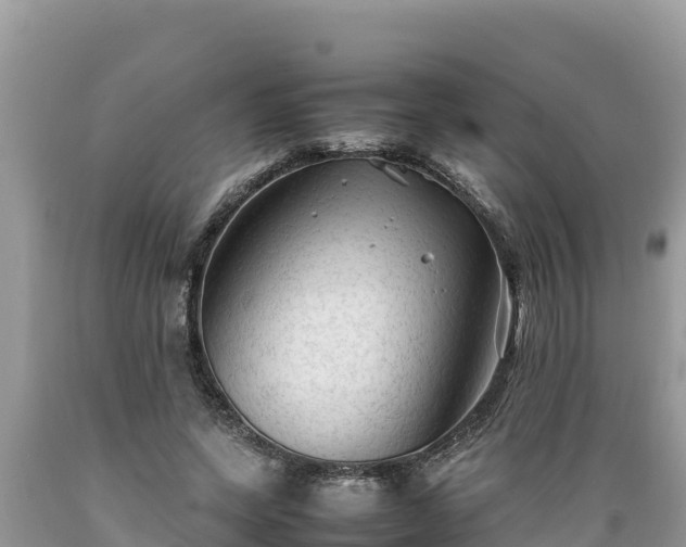 X0000089350543200706221140