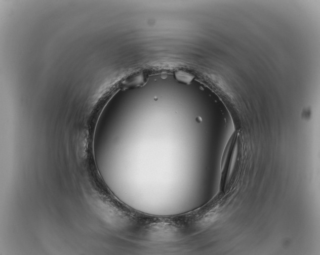 X0000089350544200706221141