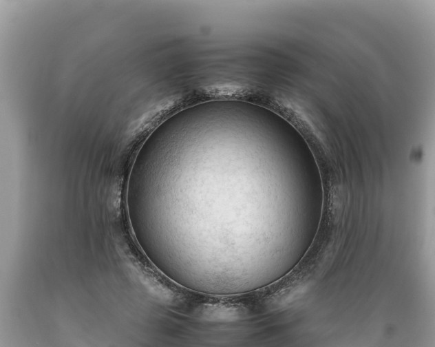X0000089350545200706221141