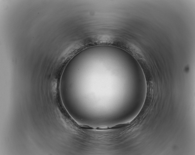 X0000089350550200706221141