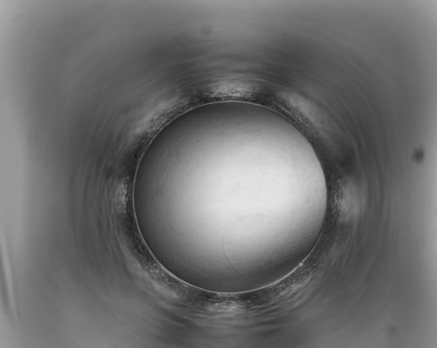 X0000089350551200706221141