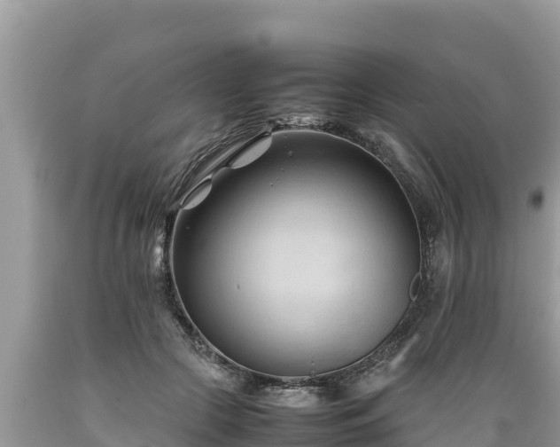X0000089350553200706221141