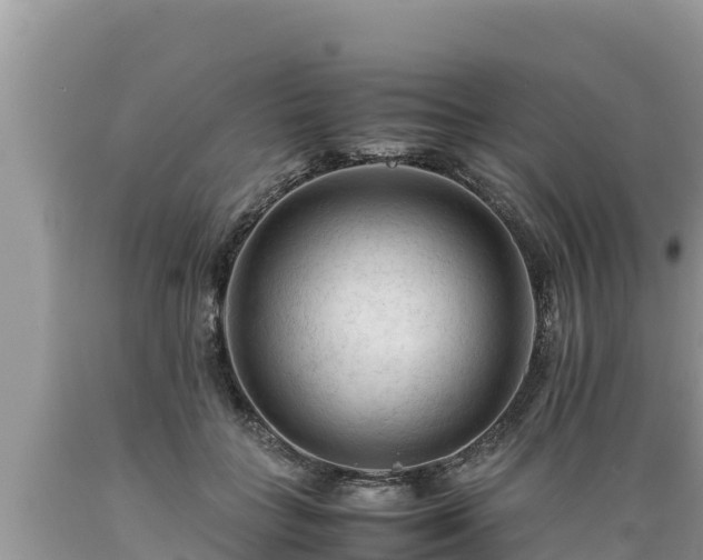 X0000089350555200706221141