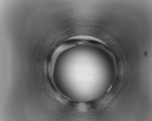 X0000089350562200706221141