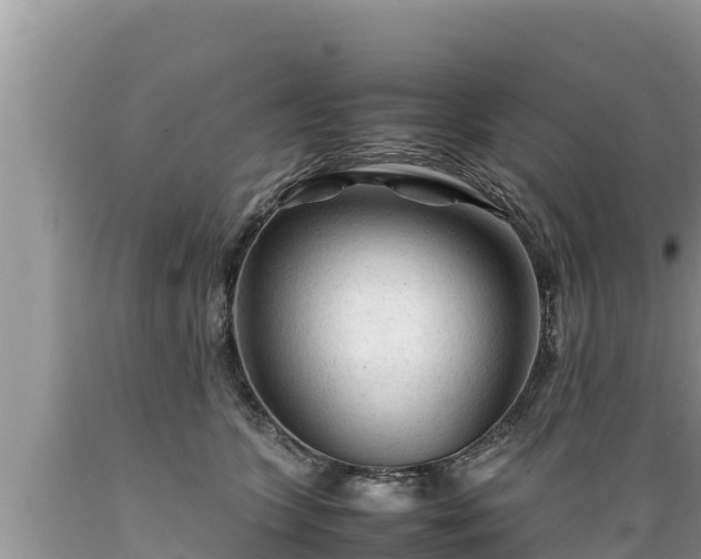 X0000089350563200706221141