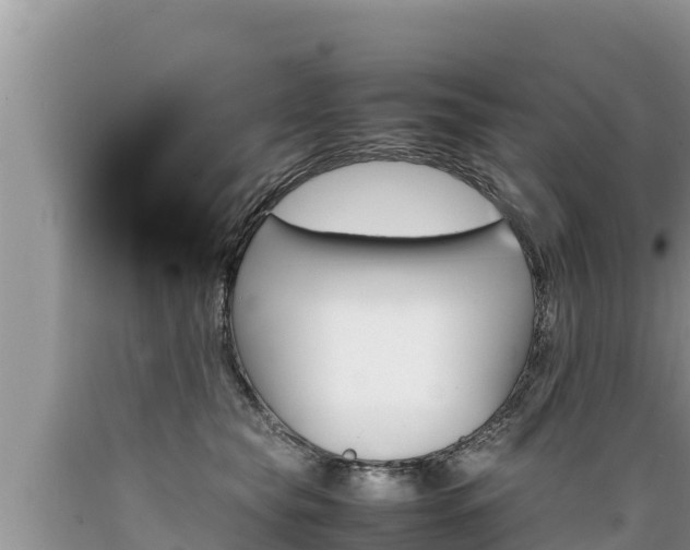 X0000089350565200706221141