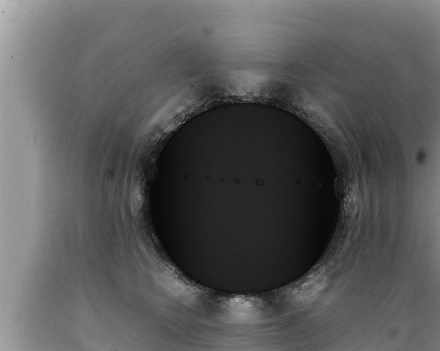 X0000089350566200706221141