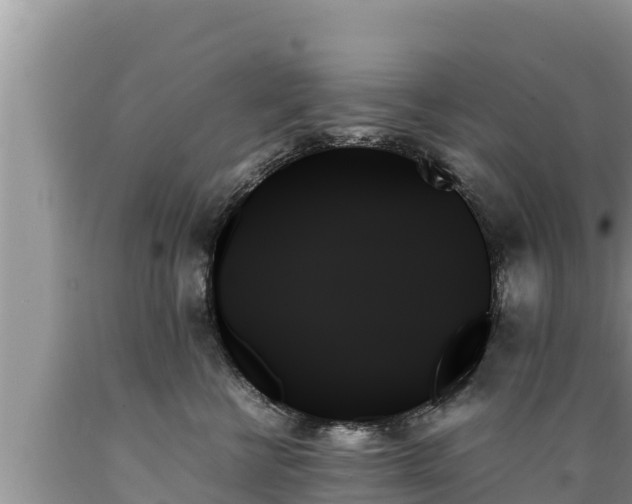 X0000089350570200706221141