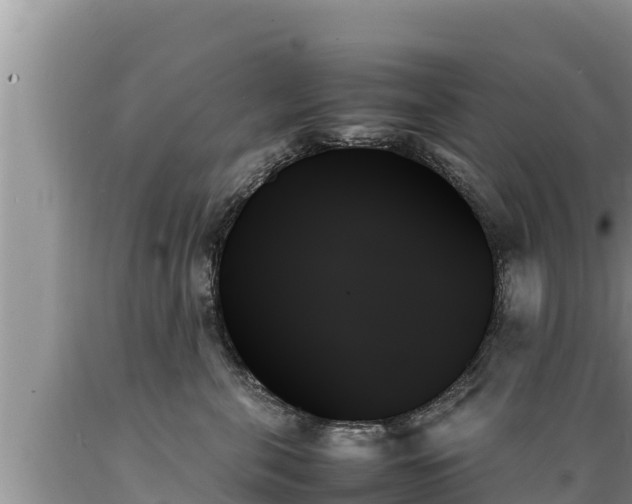X0000089350571200706221141