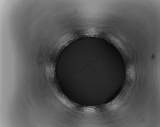 X0000089350572200706221141