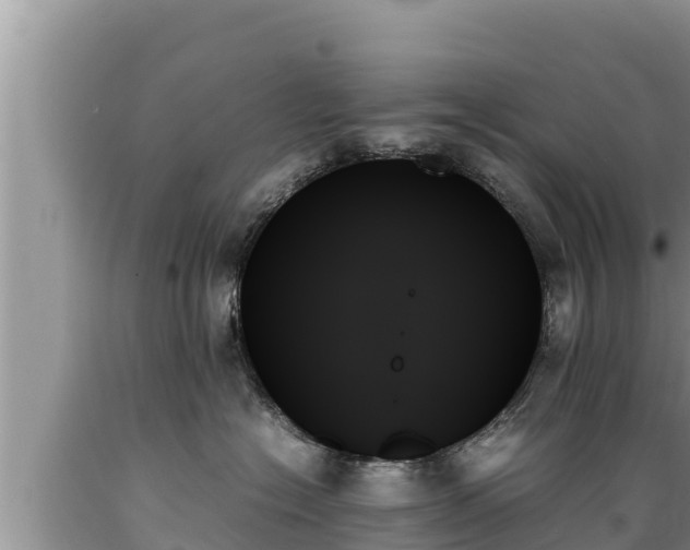 X0000089350574200706221141