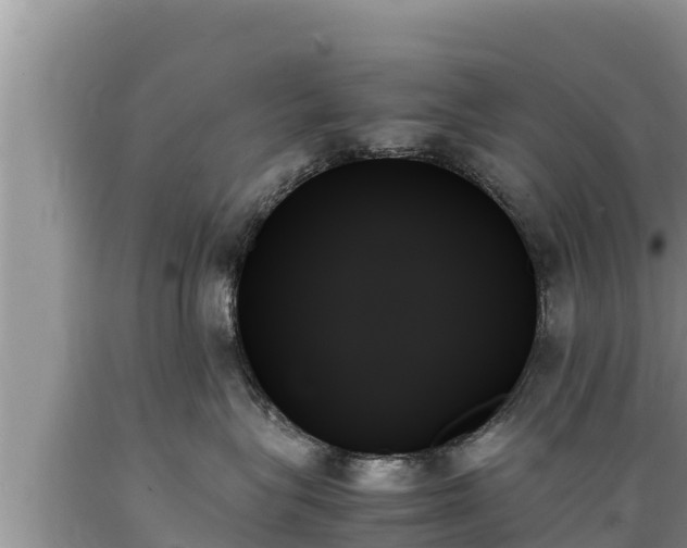 X0000089350575200706221141