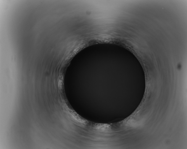 X0000089350576200706221141