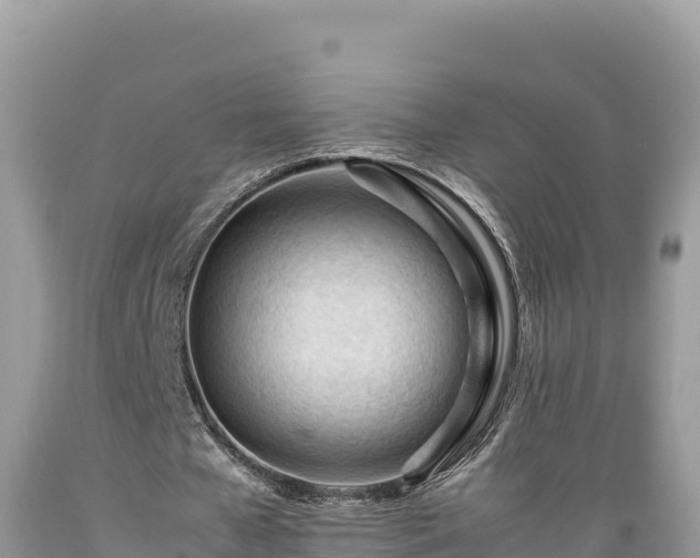 X0000089350577200706221140
