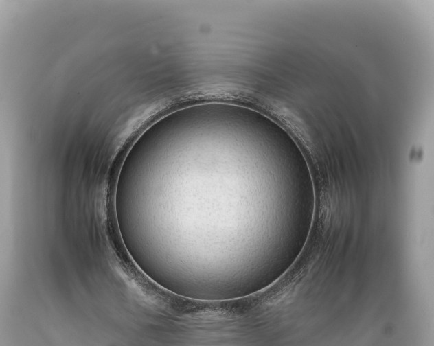 X0000089350578200706221140