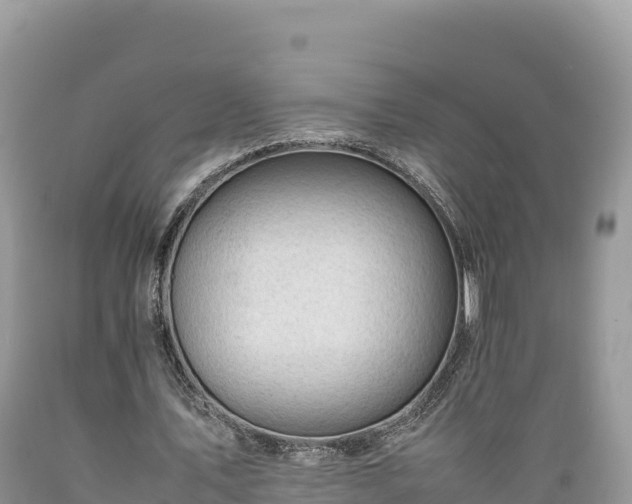 X0000089350579200706221140