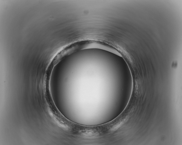 X0000089350580200706221140