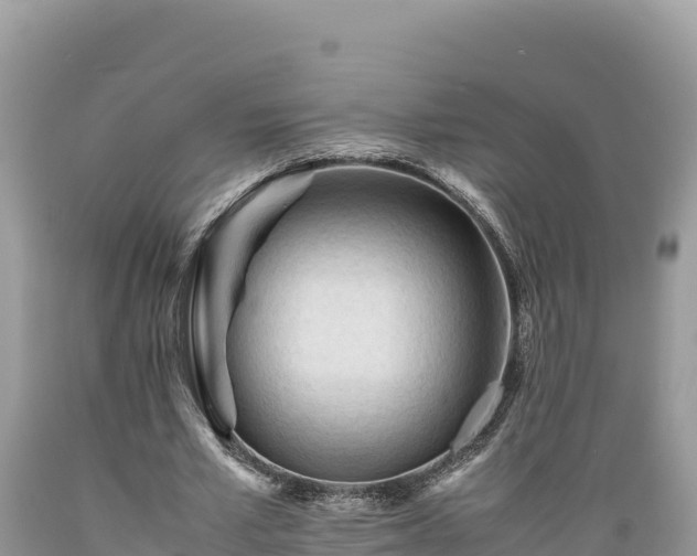 X0000089350581200706221140