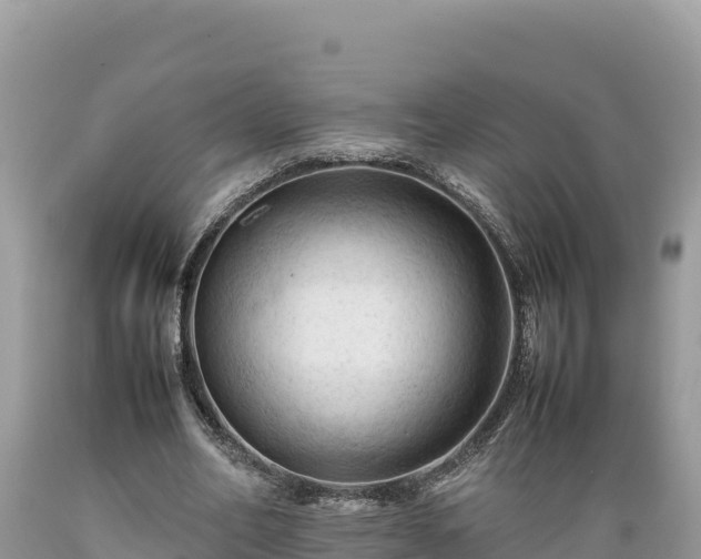 X0000089350582200706221140