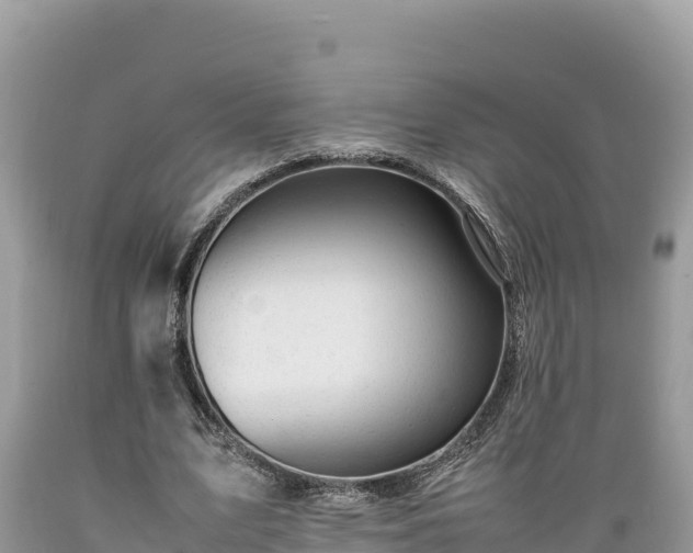 X0000089350583200706221140