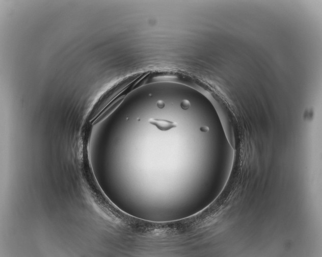 X0000089350584200706221140
