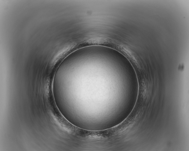 X0000089350586200706221140