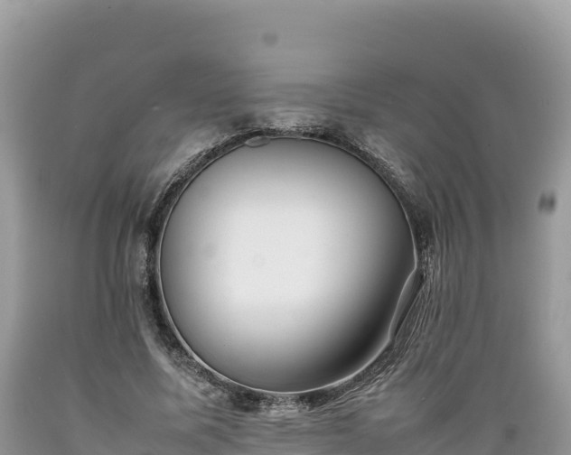 X0000089350587200706221140