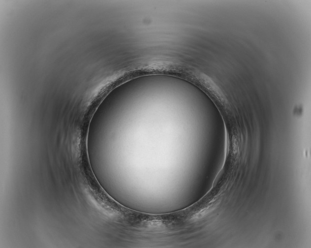 X0000089350588200706221140