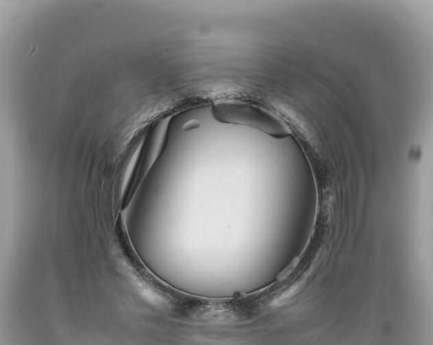 X0000089350589200706221140