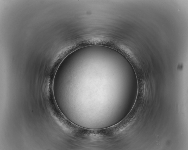 X0000089350590200706221140