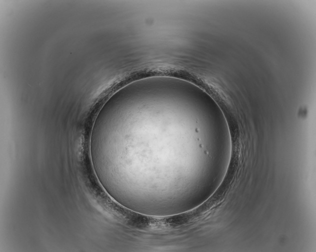 X0000089350591200706221140