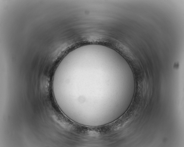 X0000089350592200706221140