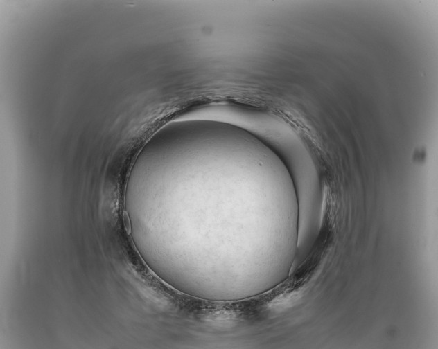 X0000089350593200706221140