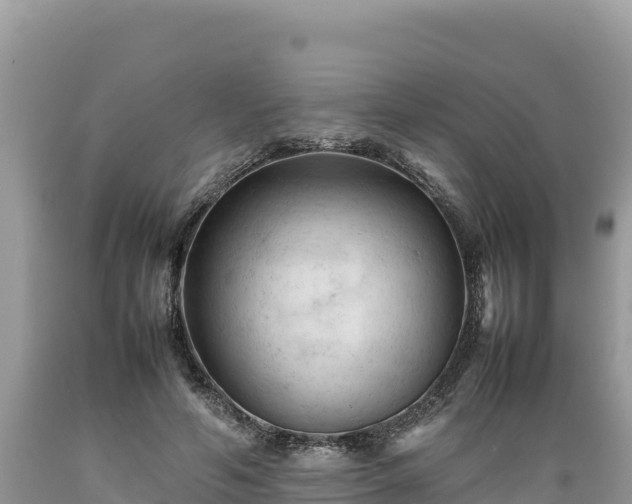 X0000089350594200706221140