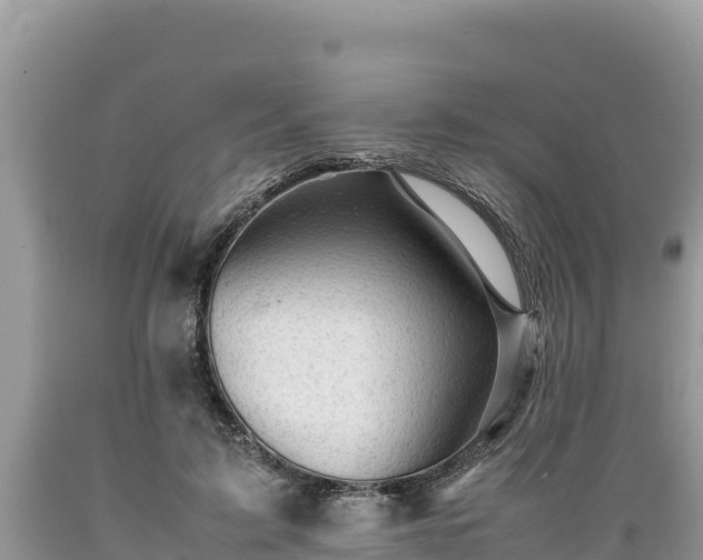 X0000089350595200706221140