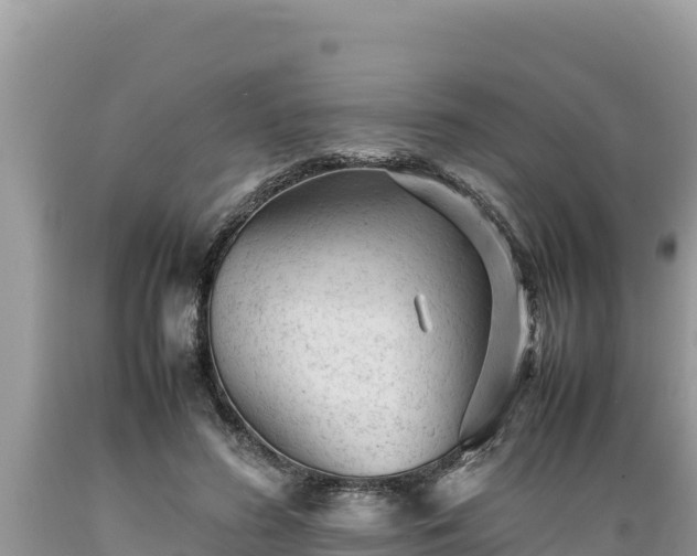 X0000089350596200706221140