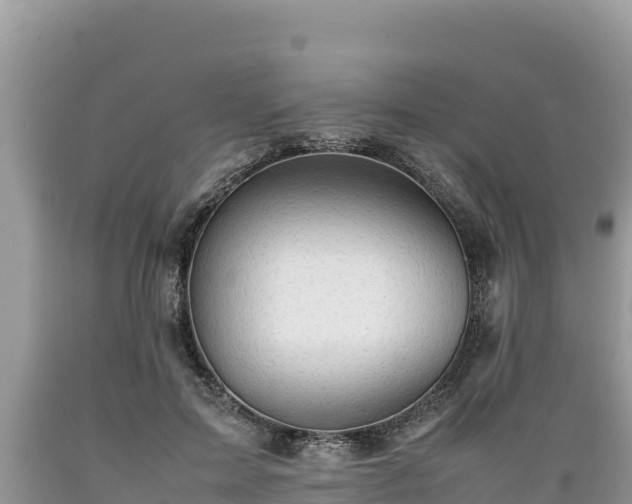 X0000089350599200706221140
