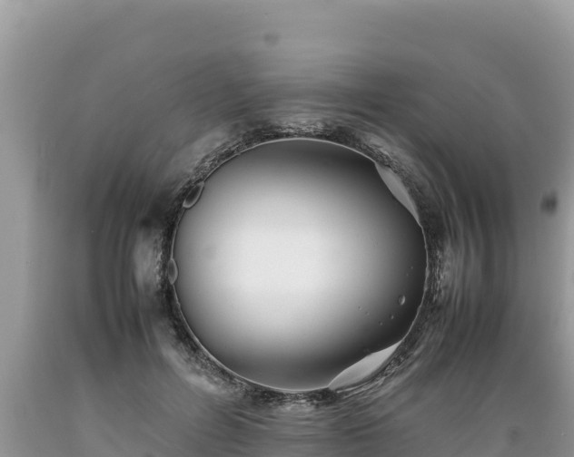X0000089350600200706221140