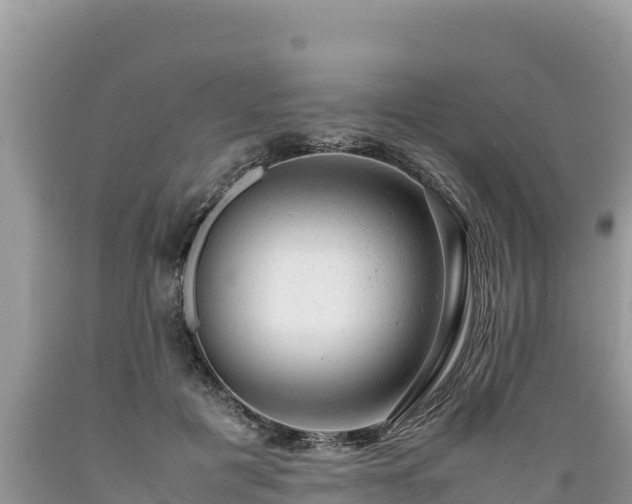 X0000089350601200706221140