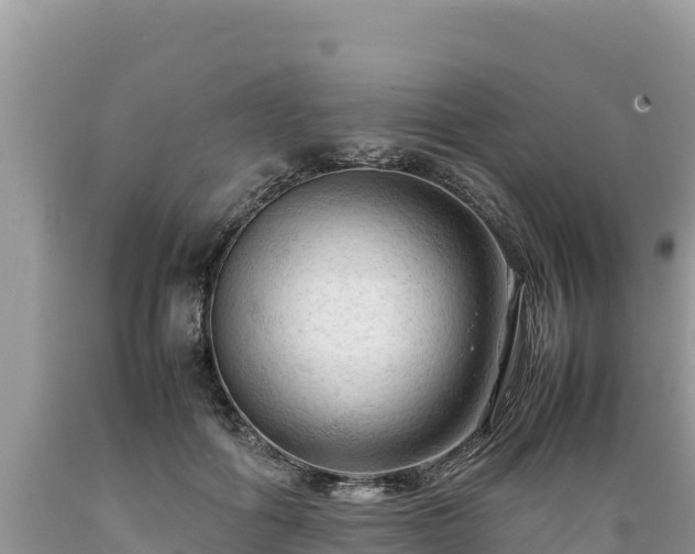 X0000089350602200706221140