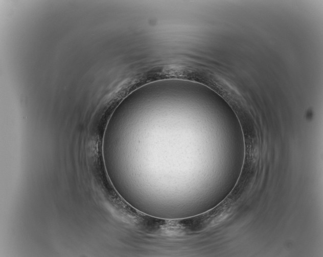 X0000089350603200706221140