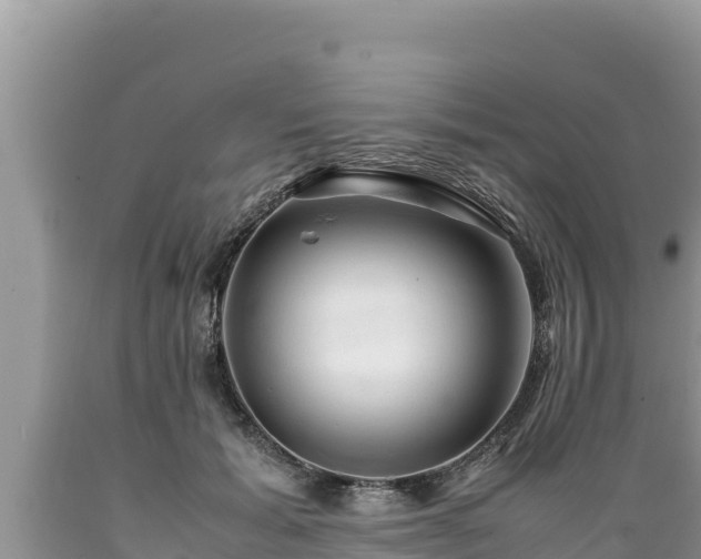 X0000089350605200706221140