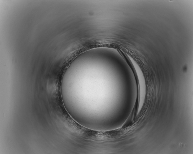 X0000089350608200706221140