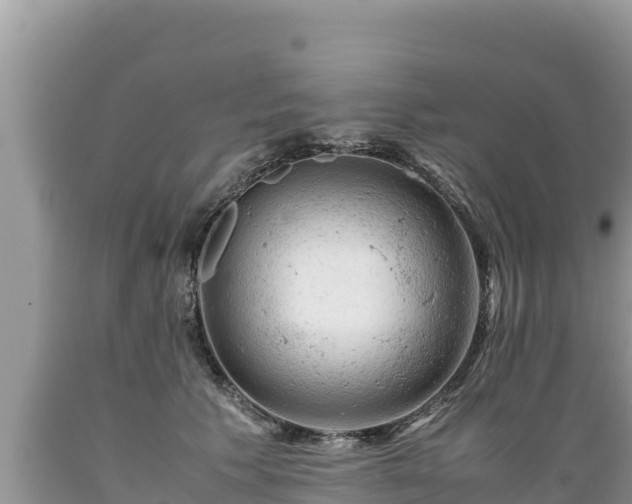 X0000089350609200706221140