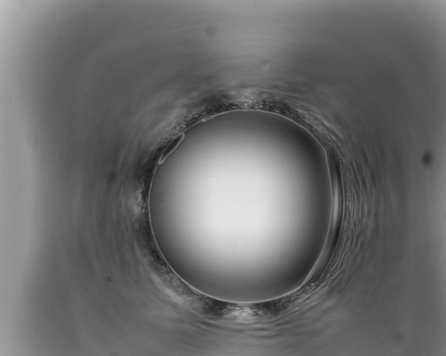 X0000089350611200706221140