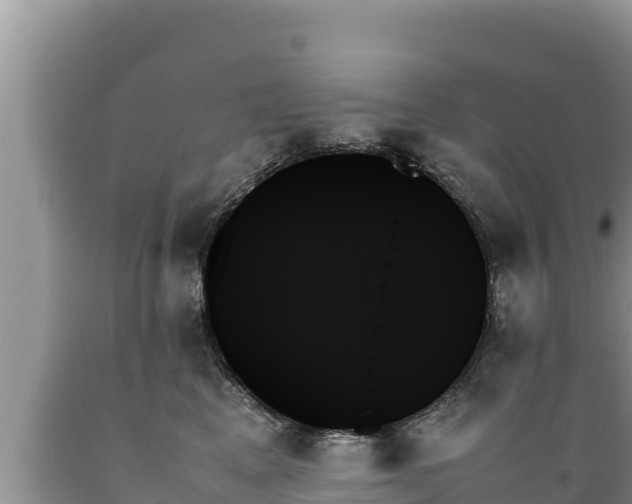 X0000089350617200706221140