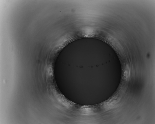 X0000089350620200706221140