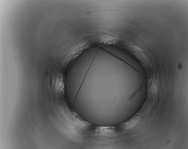 X0000089350622200706221140